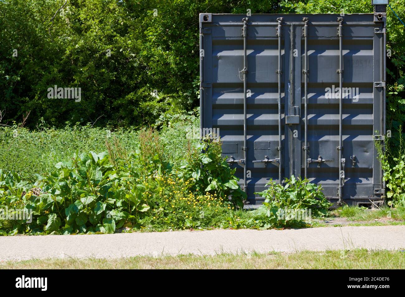 Old grey shipping container on rough ground surrounded by bushes Stock ...