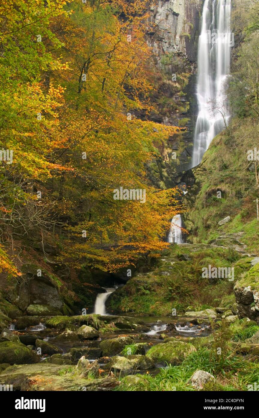 Pistyll Rhaeadr Waterfalls Nr. Llanrhaeadr ym Mochnant Welshpool Powys