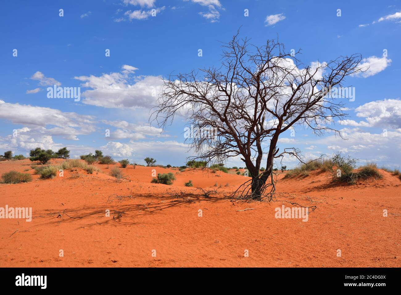 namibia africa tijme namibia africa tijme