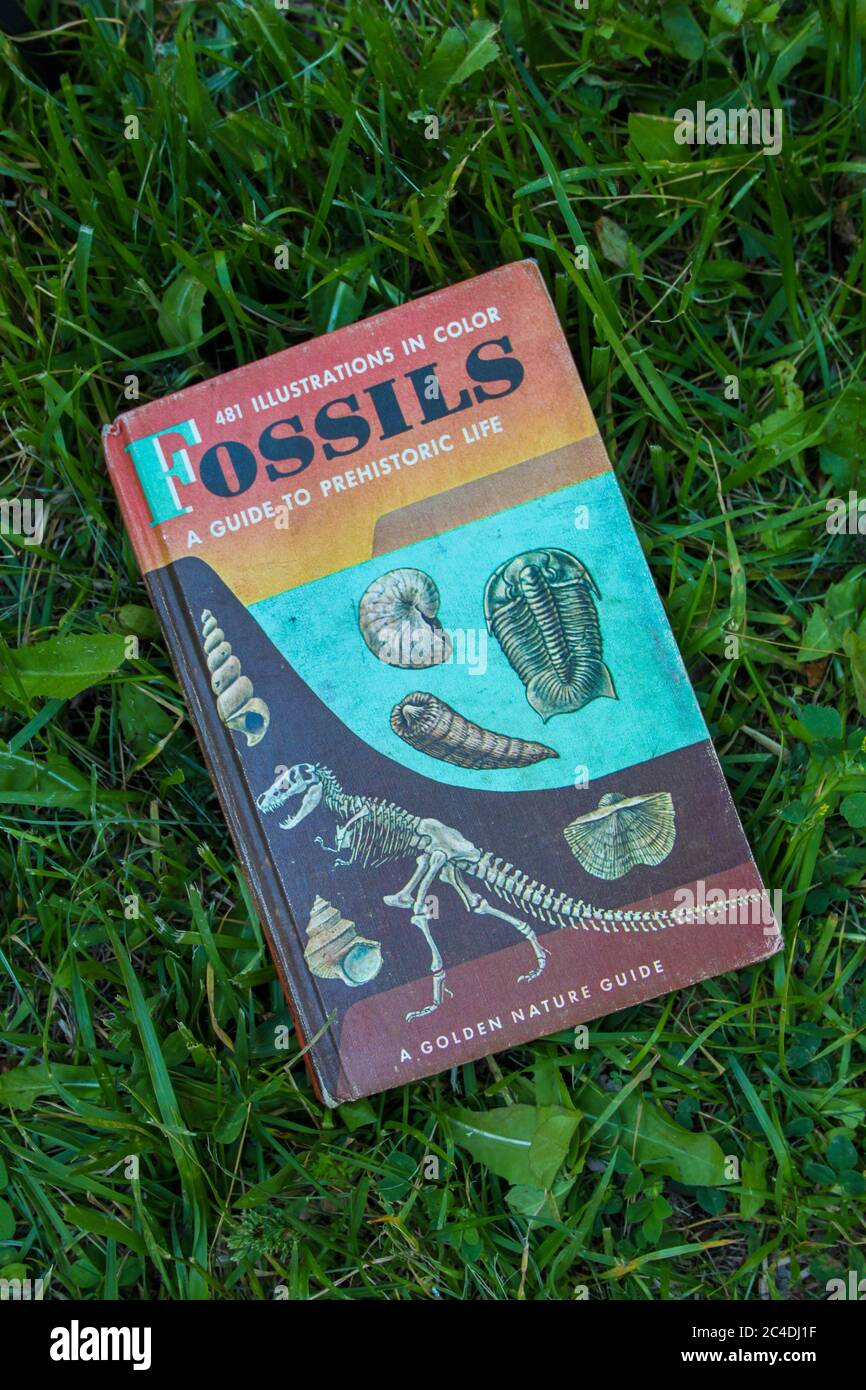 MIDDLETOWN, NY, UNITED STATES - May 20, 2020: Middletown, NY / USA - 05/20/2020: Vintage Book: Fossils A Guide To Prehistoric Life, A Golden Nature Gu Stock Photo