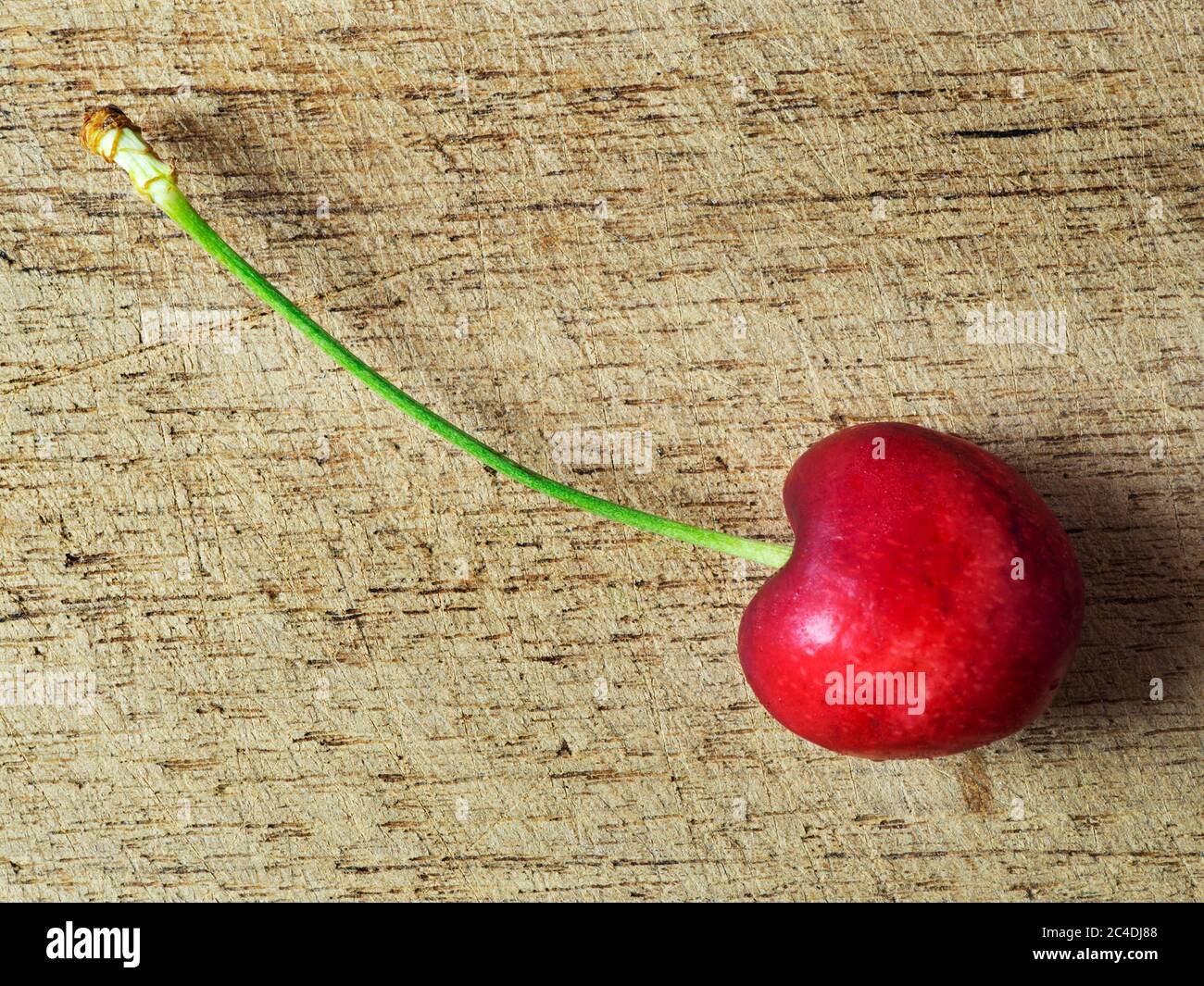 A single fresh ripe cherry on a wooden chopping board Stock Photo - Alamy