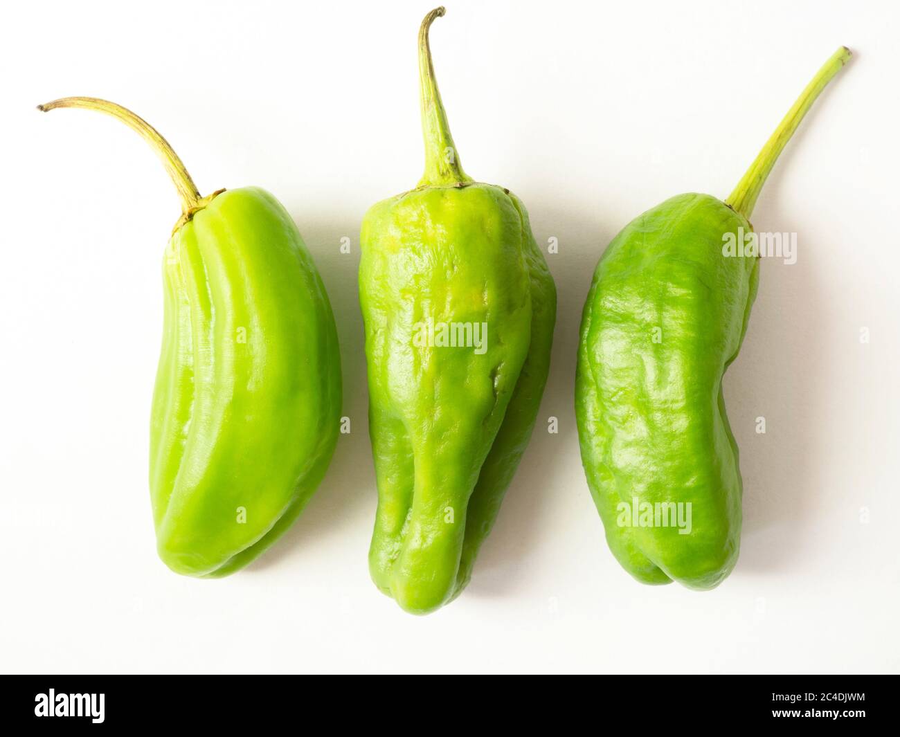 Three fresh green chilli peppers isolated on a white background Stock ...