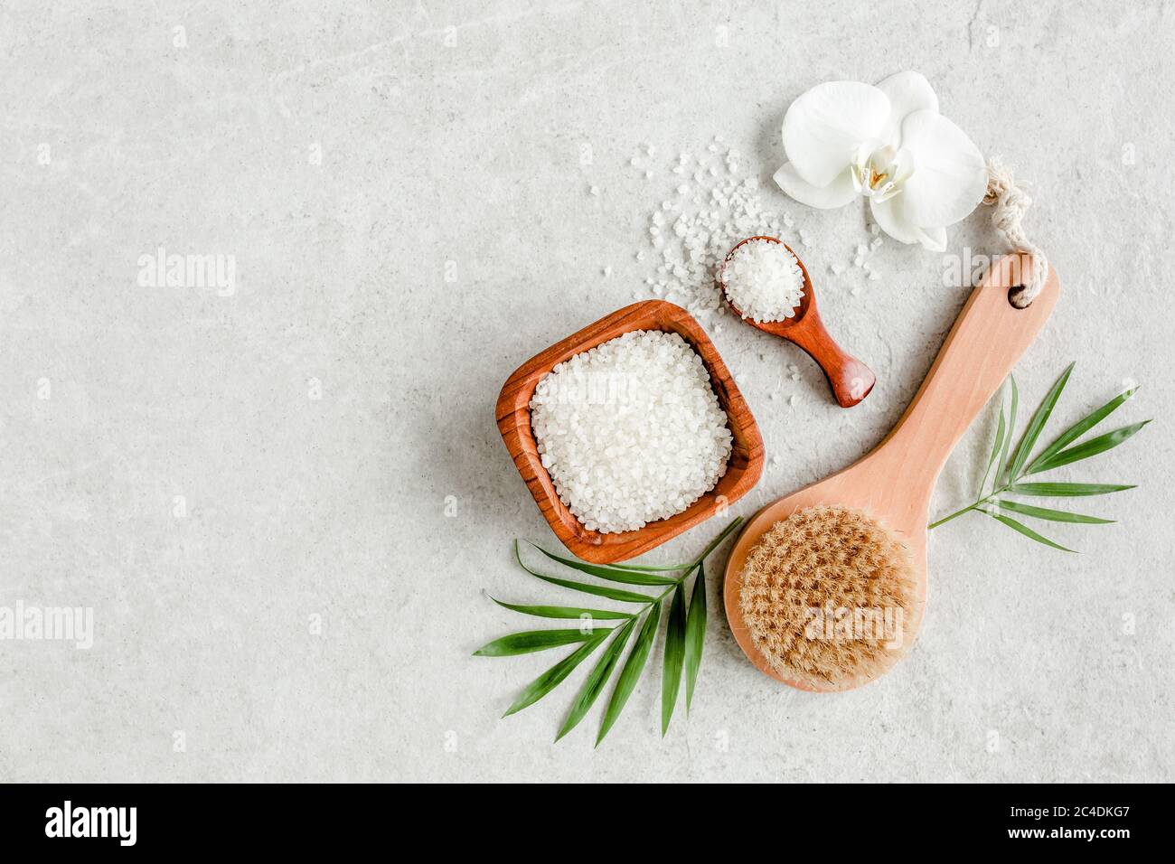 Spa skincare concept. Natural Organic spa cosmetics products, sea salt, massage brush and tropic palm leaves on gray marble table from above.  Stock Photo