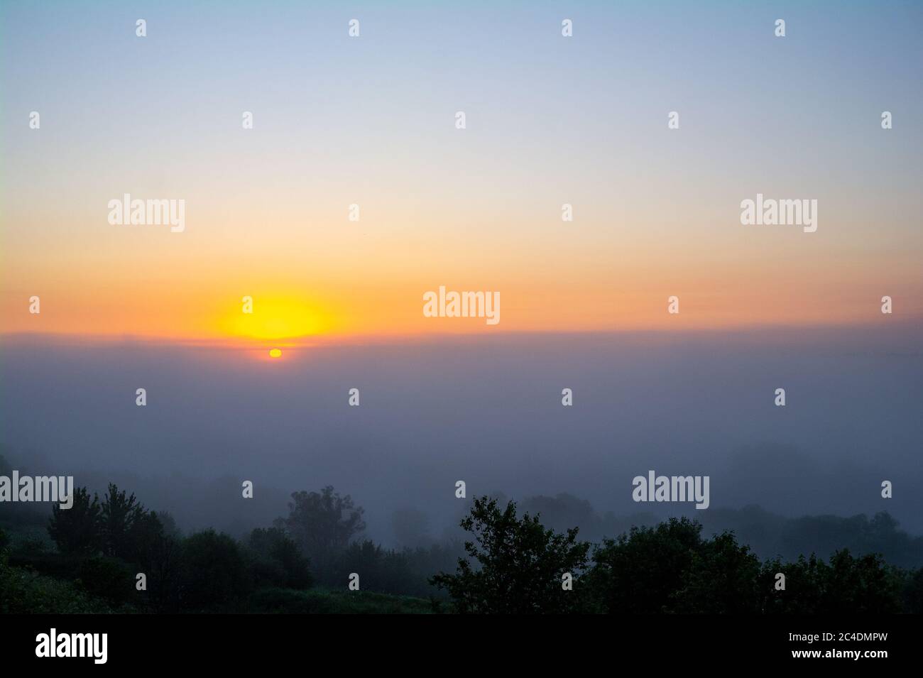 Mist sunrise and tree silhouettes in fog Stock Photo - Alamy