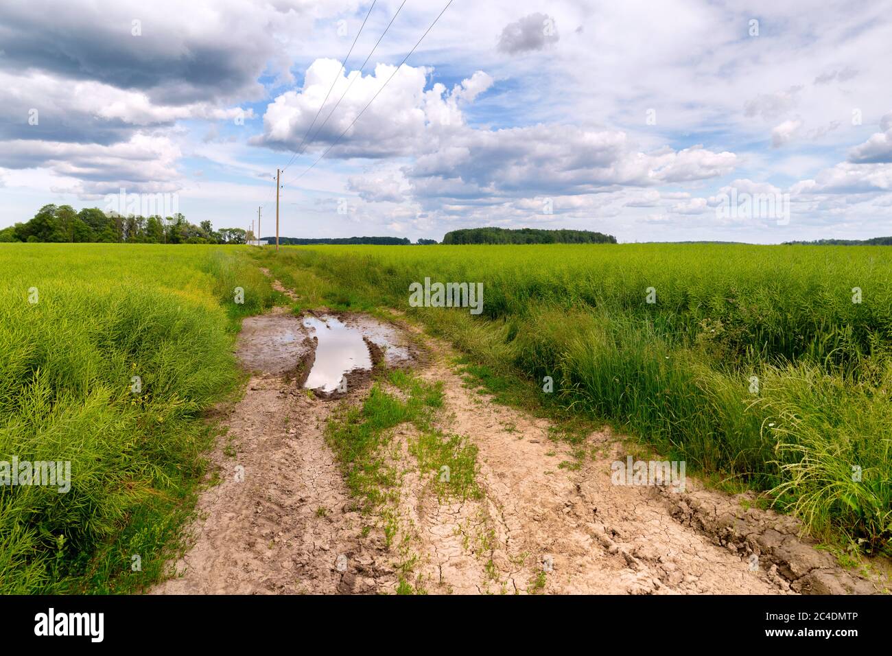 Dirt road between agricultural fields of Latvia. Stock Photo