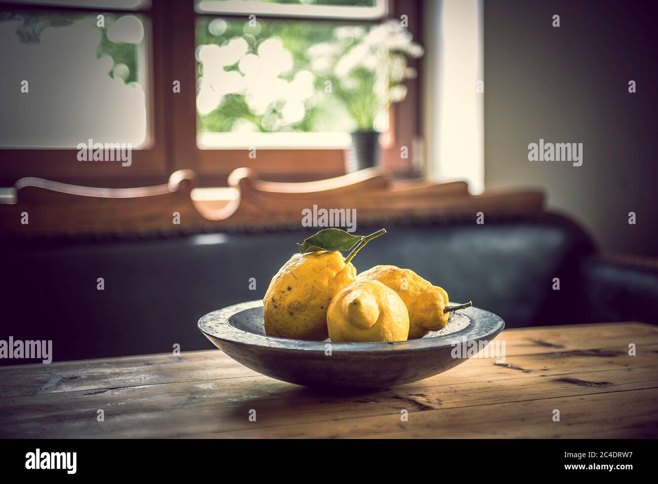 Concrete Fruit Bowl with Amalfi Lemons in a Country Style House Stock Photo