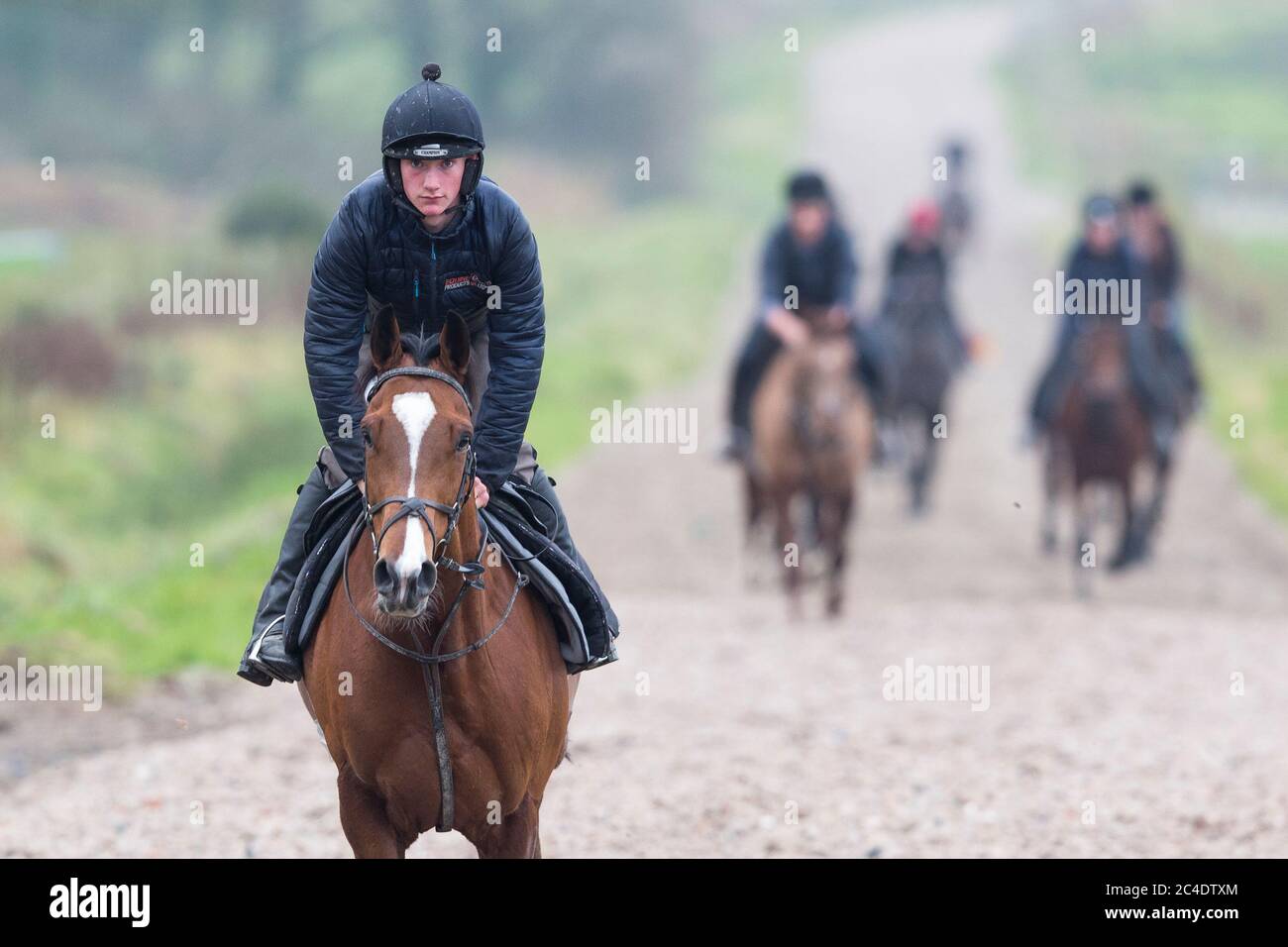 A jockey exercising a racehorse on the gallops at Peter Bowen Stables in Pembrokeshire, Wales Stock Photo