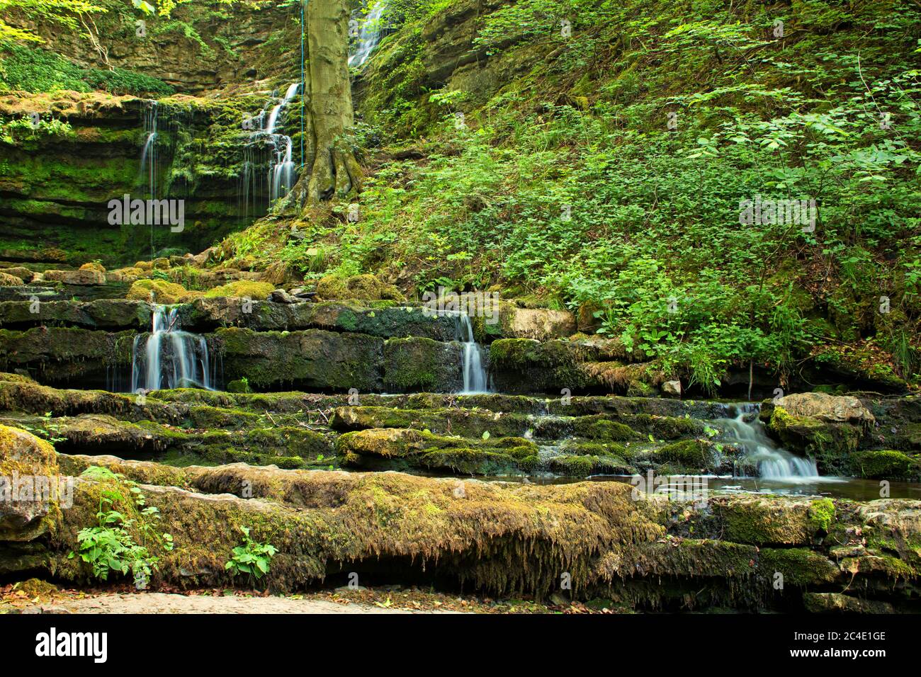 The tiered waterfalls of  Scaleber Force, Yorkshire Dales Stock Photo