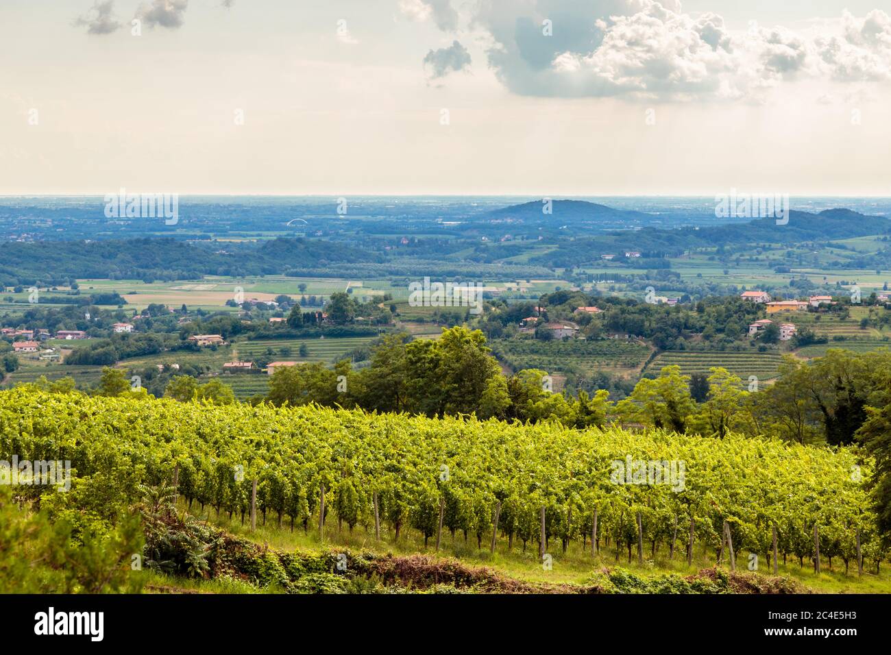 Italy slovenia border vineyard hi-res stock photography and images - Alamy
