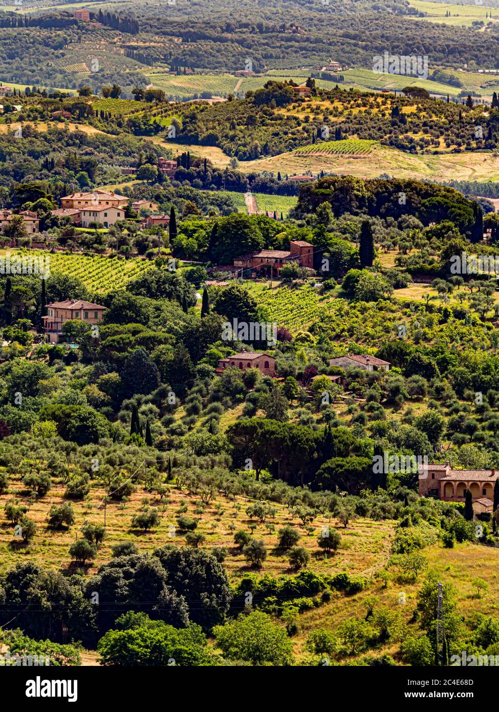 Villas in rural Siena. Italy. Stock Photo