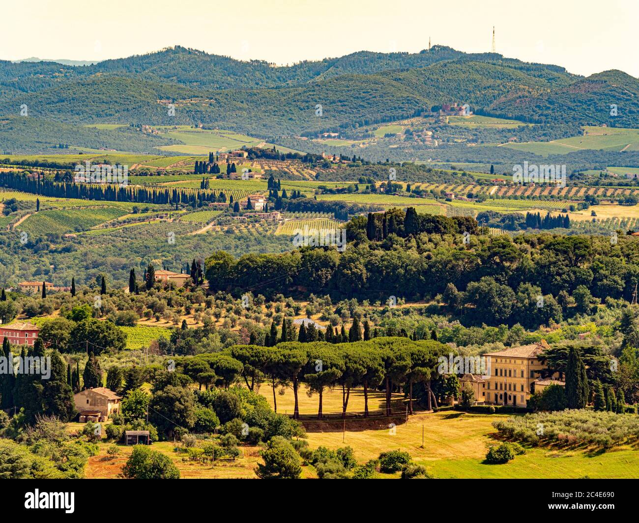 Tuscany landscape with villas, Umbrella pine and Cypress trees. Siena, Italy. Stock Photo