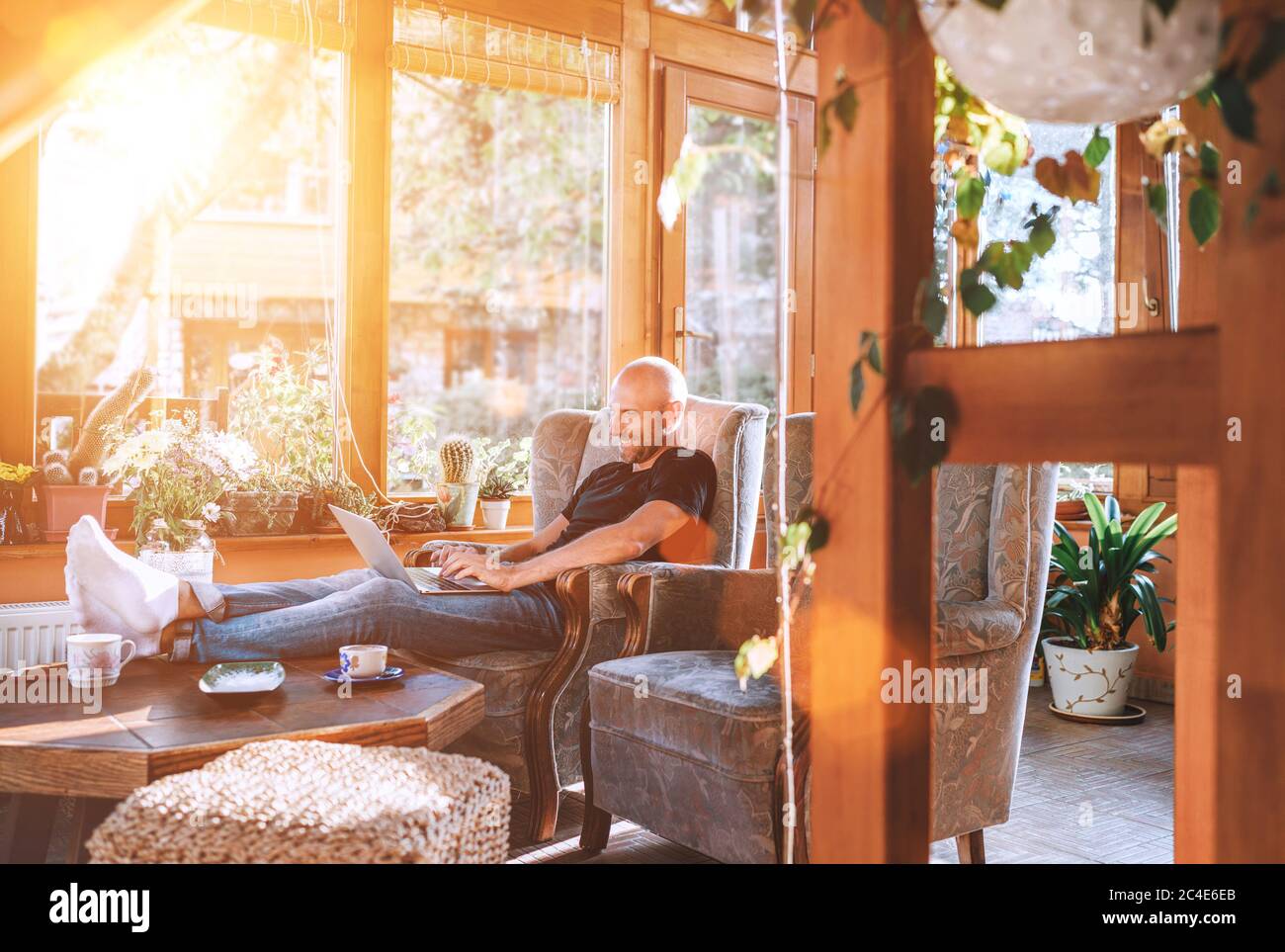 Man dressed black T-shirt and jeans sitting in a comfortable armchair, using a modern slim laptop and drinking tea in house sunroom living room. Dista Stock Photo