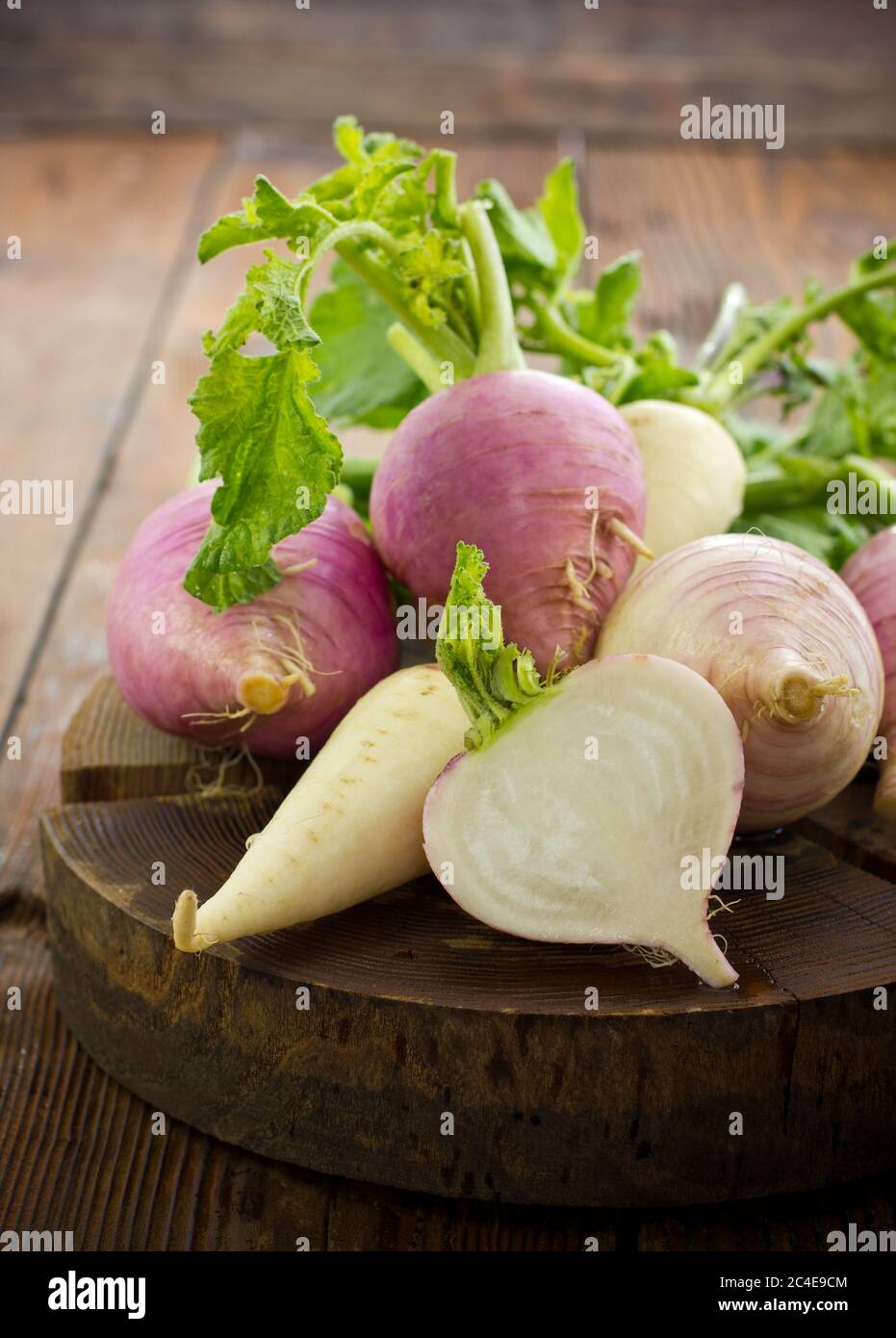 Fresh turnip and white radish on the wooden table Stock Photo