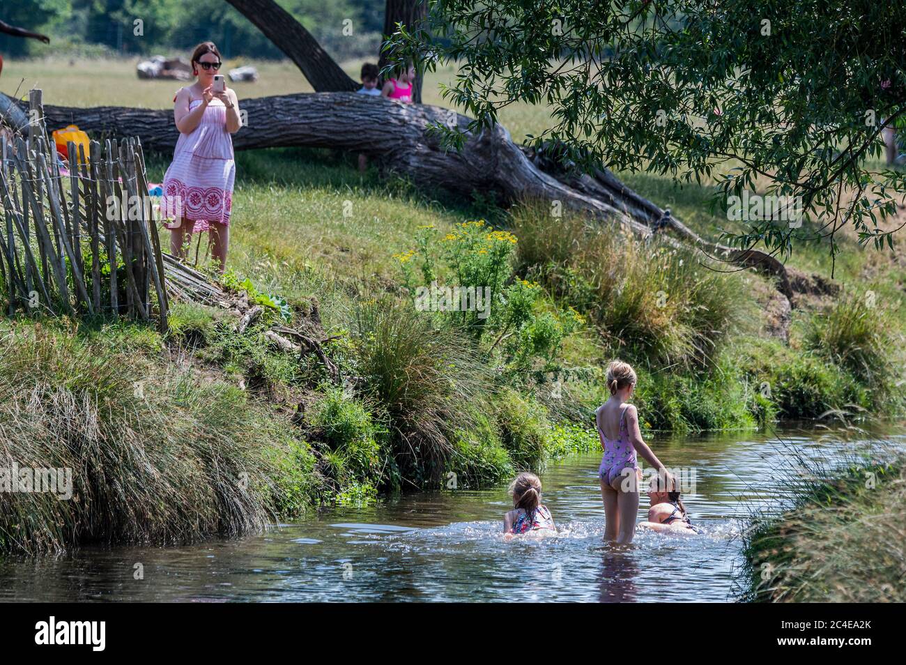 London, UK. 26th June, 2020. A mother watches as her children play in the cooling waters of Beverly Brook - Enjoying the sun and the space in Richmond park on another hot day. The park has now re-opened to cyclists (the public during the week and key workers only at weekends). It is also closed to allexcept park vehicles. The 'lockdown' continues to be eased for the Coronavirus (Covid 19) outbreak in London. Credit: Guy Bell/Alamy Live News Stock Photo