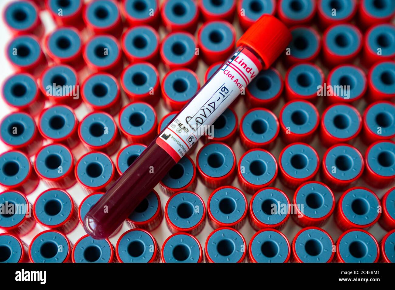 Closeup shot of a blood test tube with red lid for coronavirus on top of  several empty tubes Stock Photo - Alamy