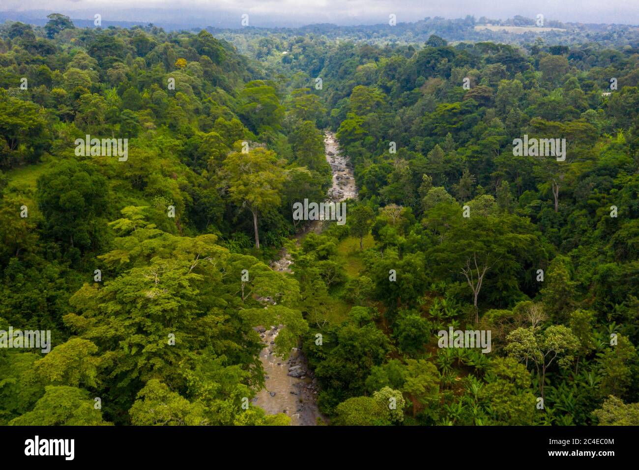 Amazon river aerial view dense hi-res stock photography and images - Alamy