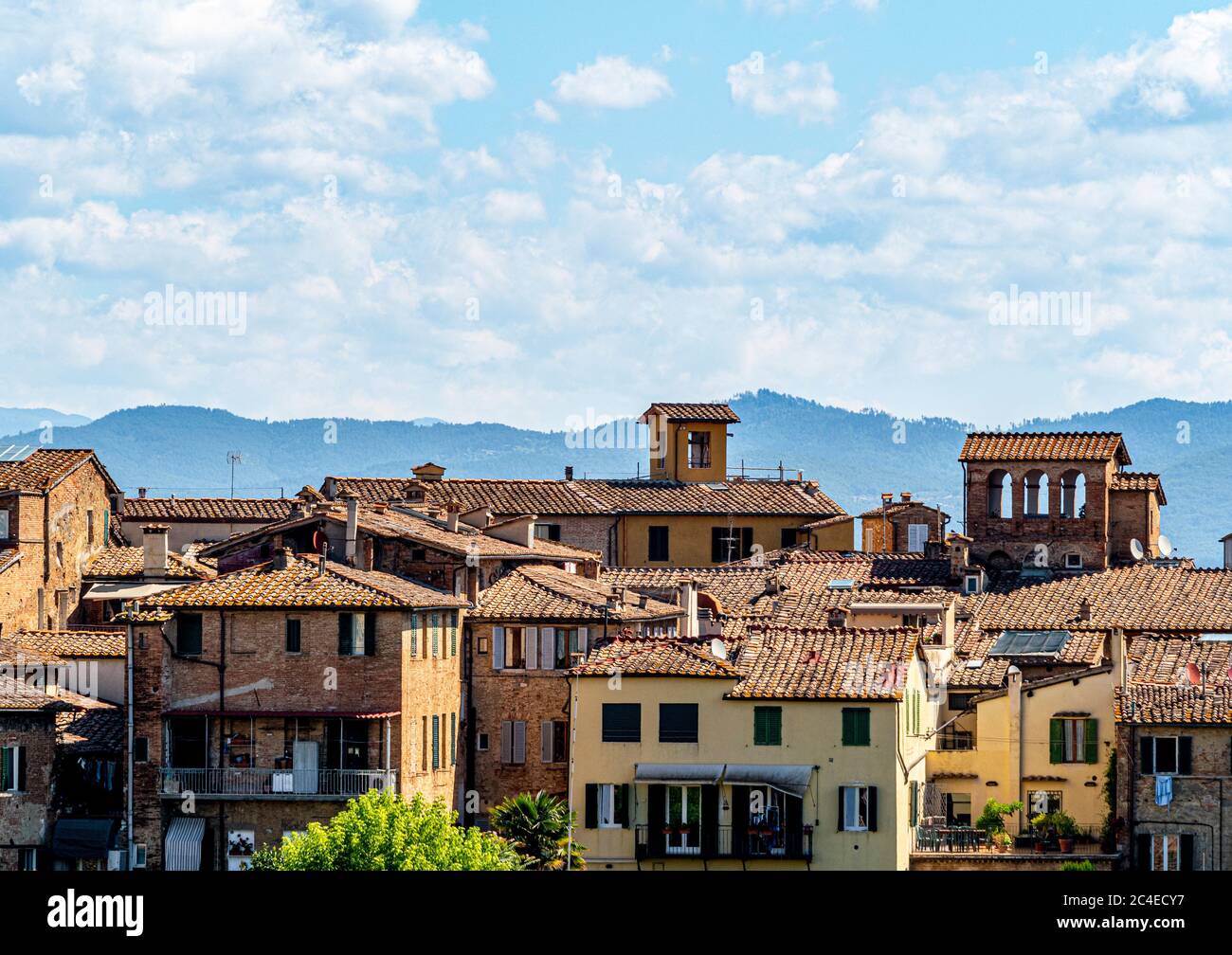 Traditional residential property in Siena. Italy Stock Photo Alamy