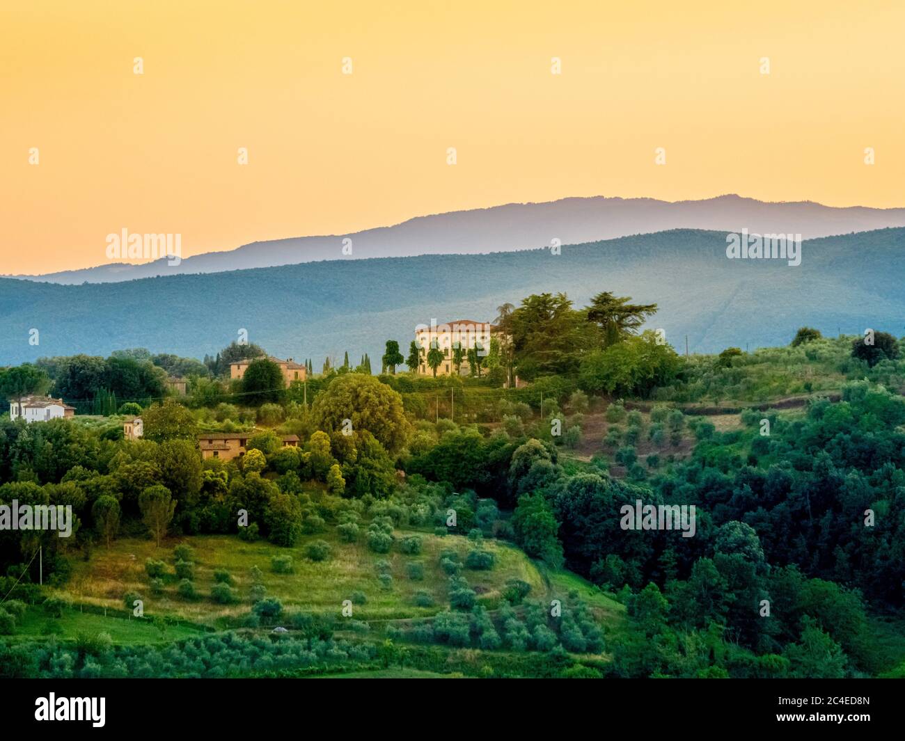 Villas surrounded by trees in rural Siena, Italy. Stock Photo