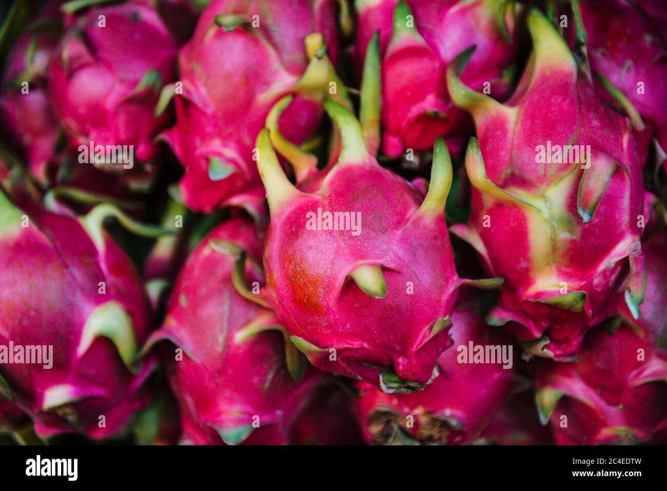 Dragon fruit for sale at central market, Phnom Penh, Cambodia
