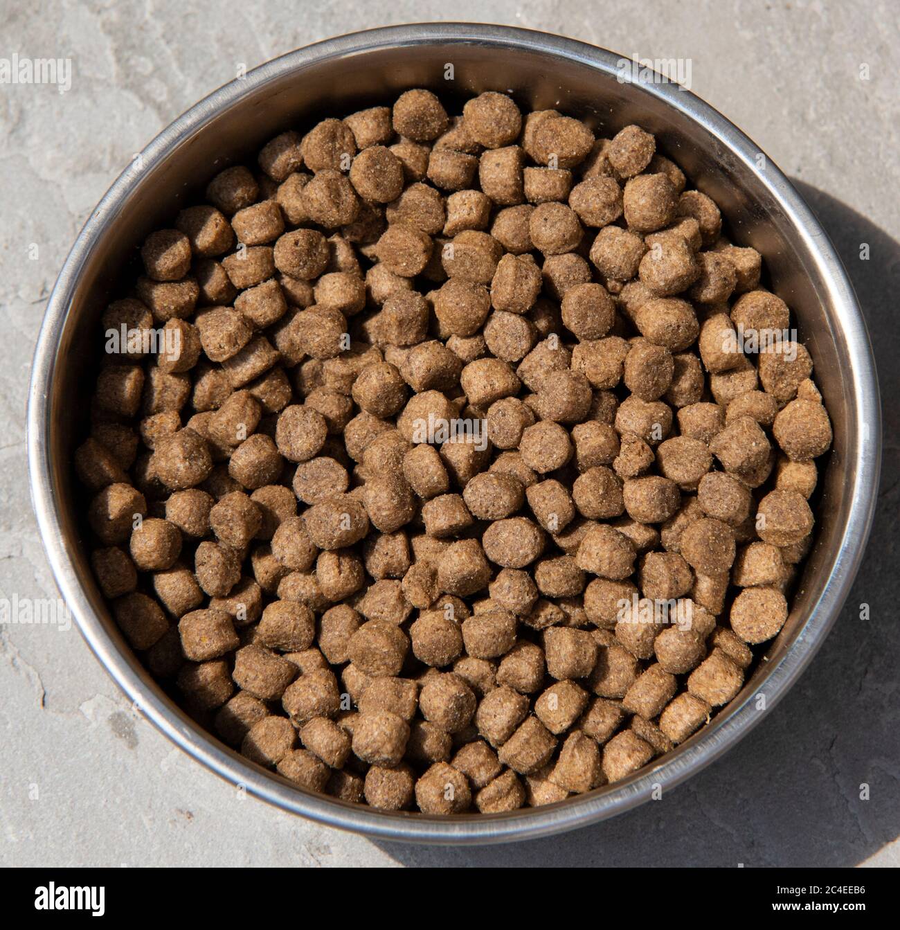 Meaty dry dog food in a dish Stock Photo
