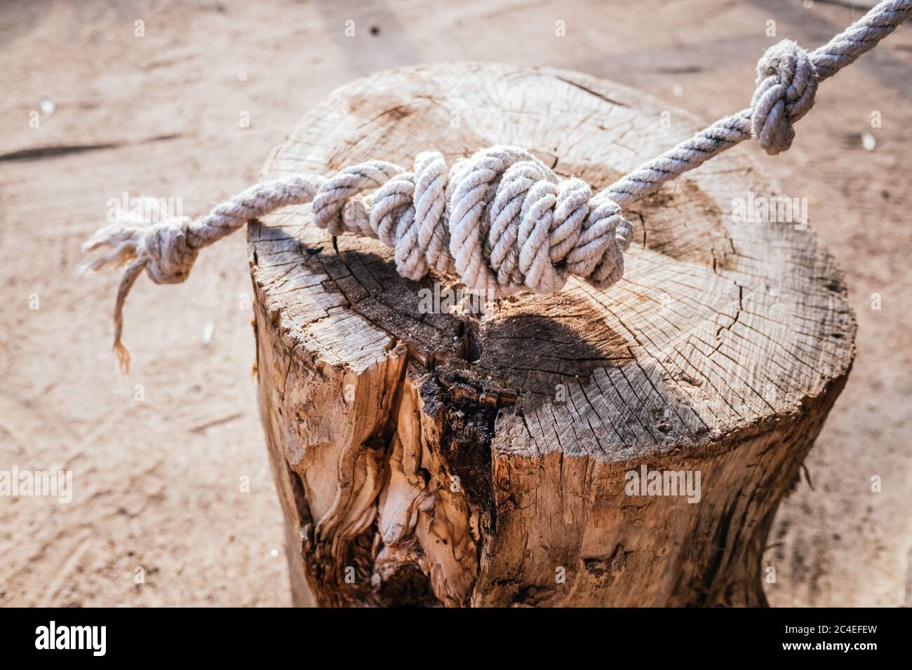 Detail of a complicated rope knot securely tied to a log Stock Photo Alamy