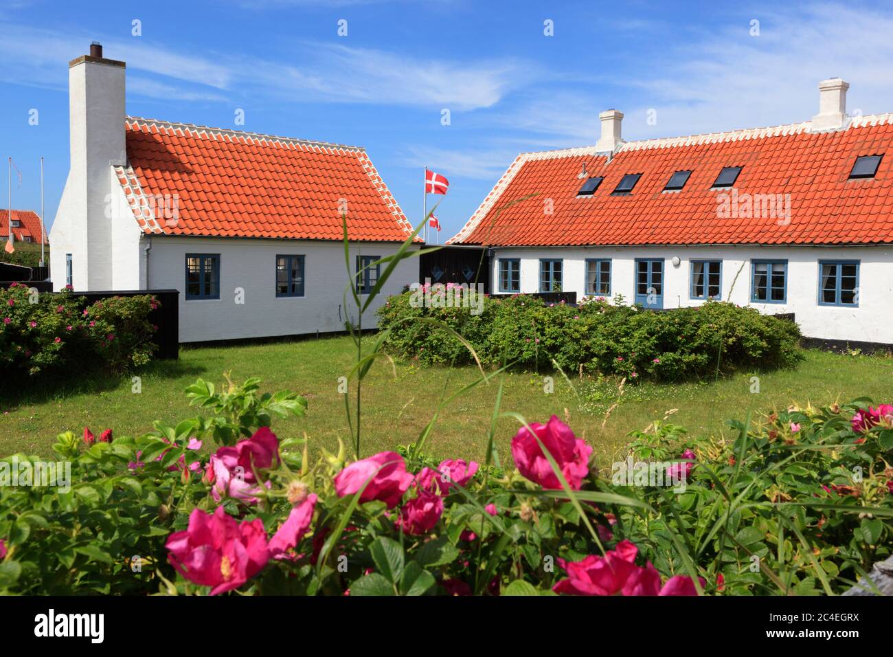 Traditional Danish house, Gammel Skagen, Jutland, Denmark, Europe Stock