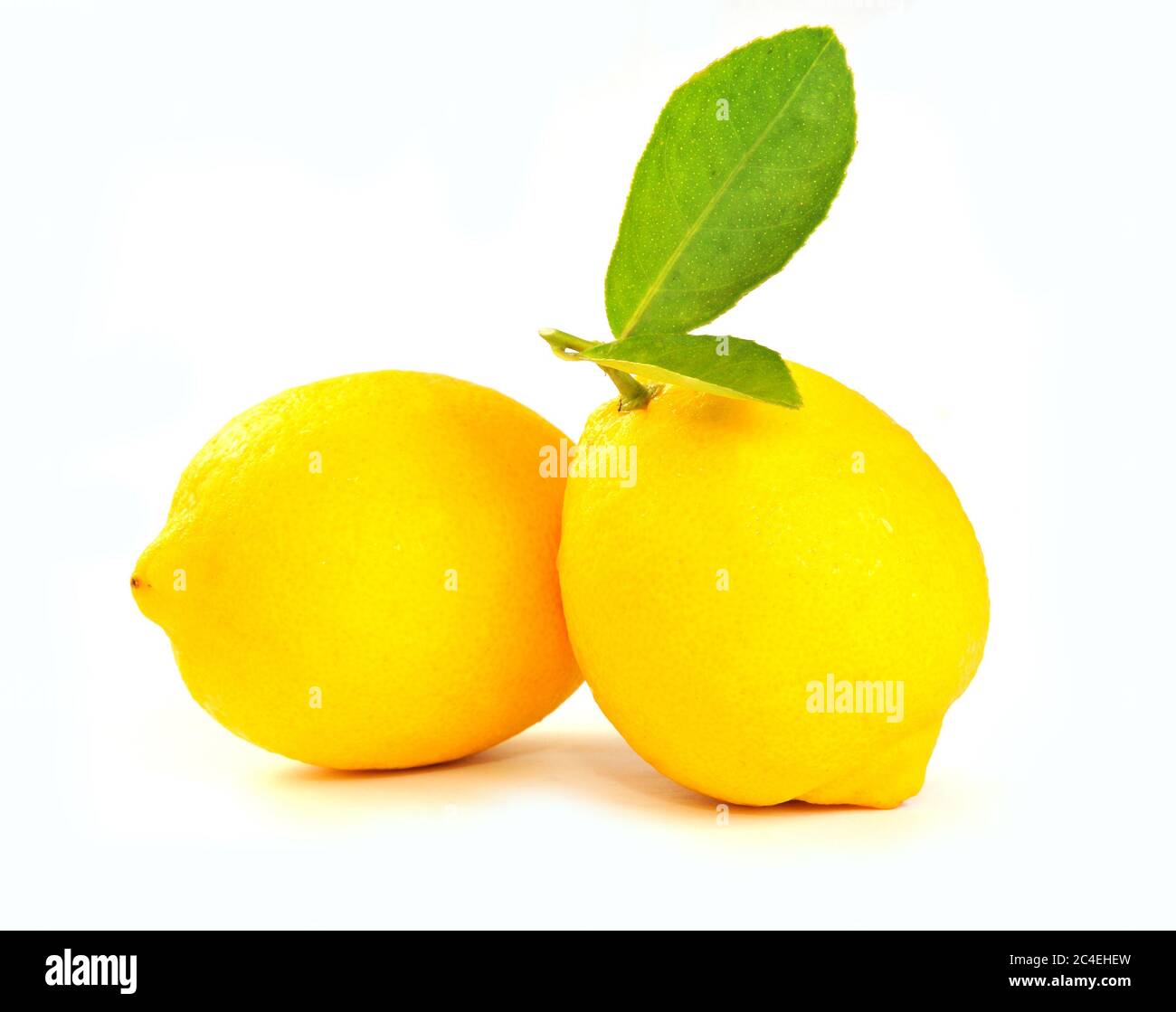 Lemon fruit isolated on white background Stock Photo - Alamy