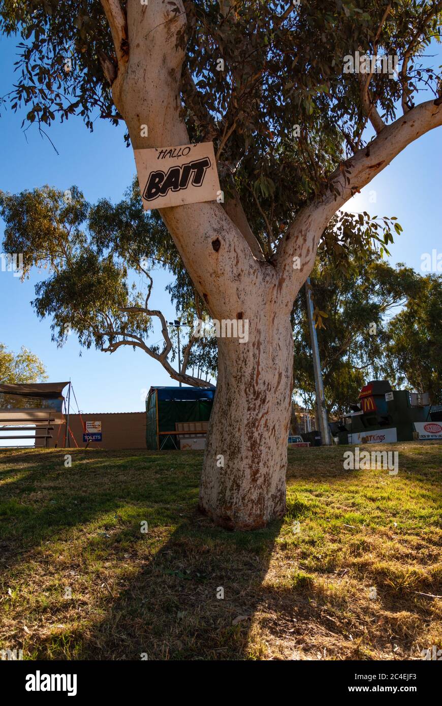 HENLEY-ON-TODD REGATTA, ALICE SPRINGS, NORTHERN TERRITORY, AUSTRALIA ...