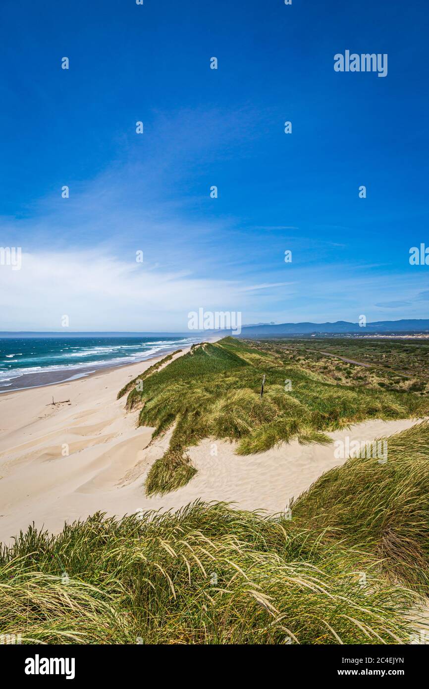 Sand dunes on the Oregon coast, on a sunny summers day Stock Photo