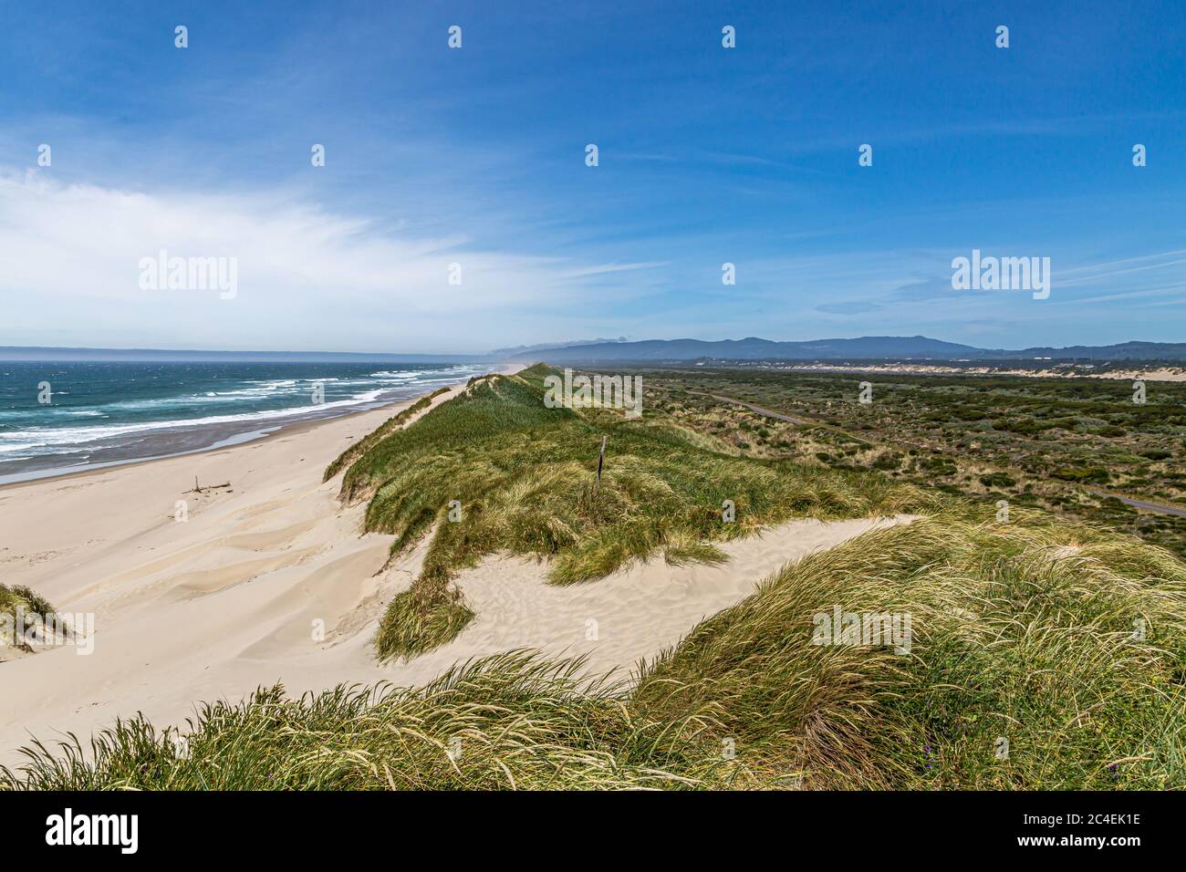 Looking out over sand dunes and the beach towards the ocean, on the Oregon coast Stock Photo