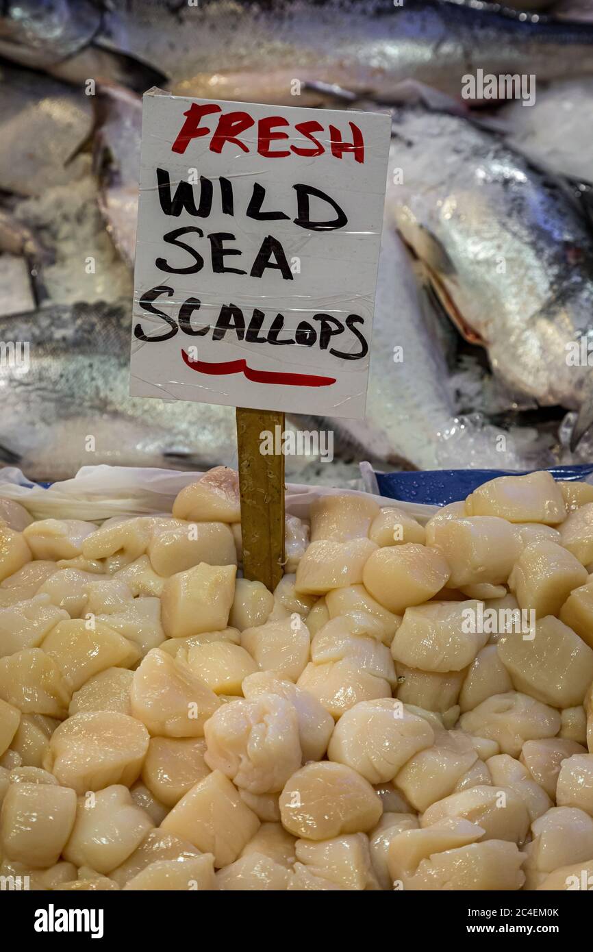 A Display of Fresh Sea Scallops For Sale on a Market Stall Stock Photo