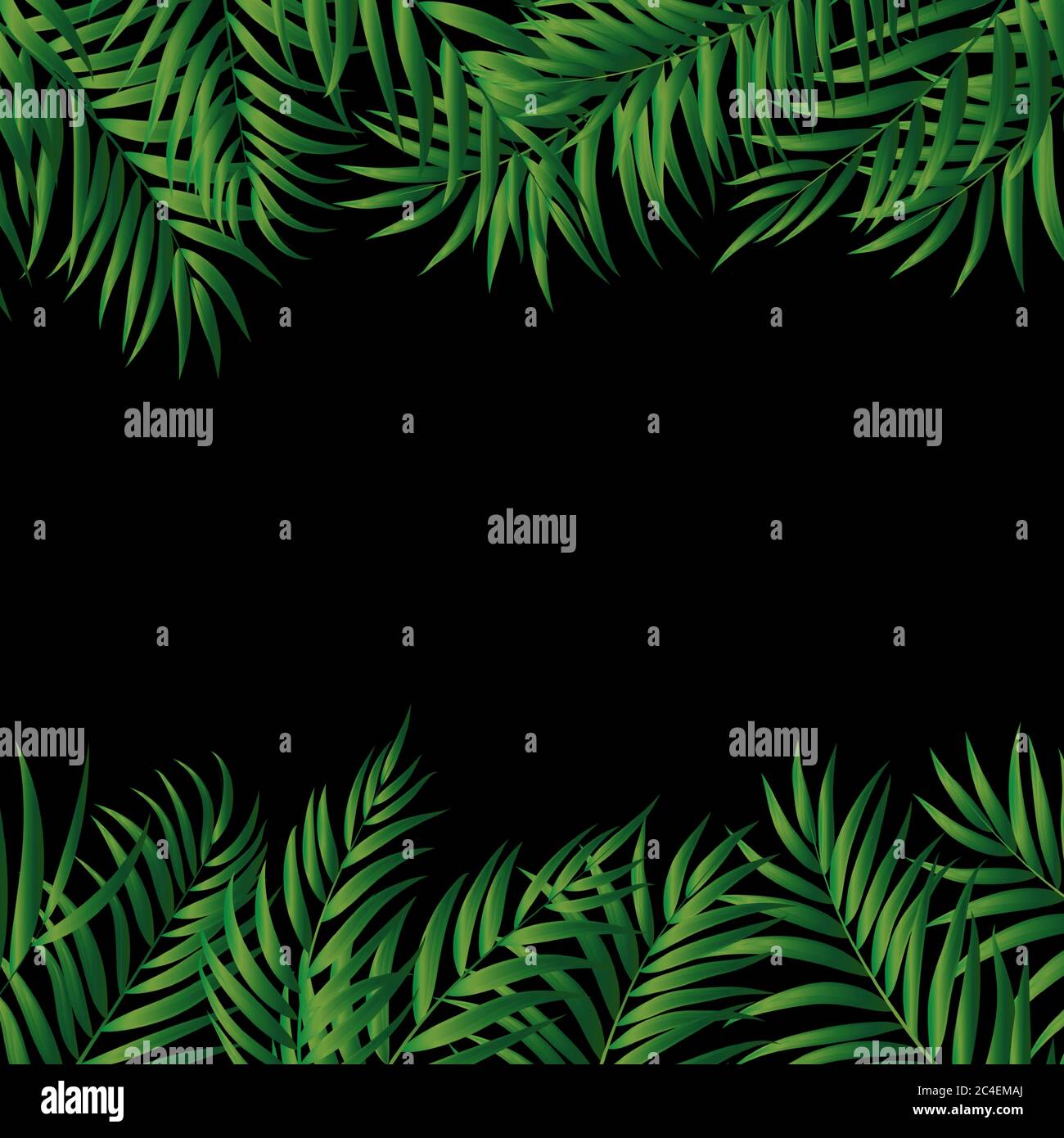 Tropical Natural green Palm Background. Vector Illustration Stock ...