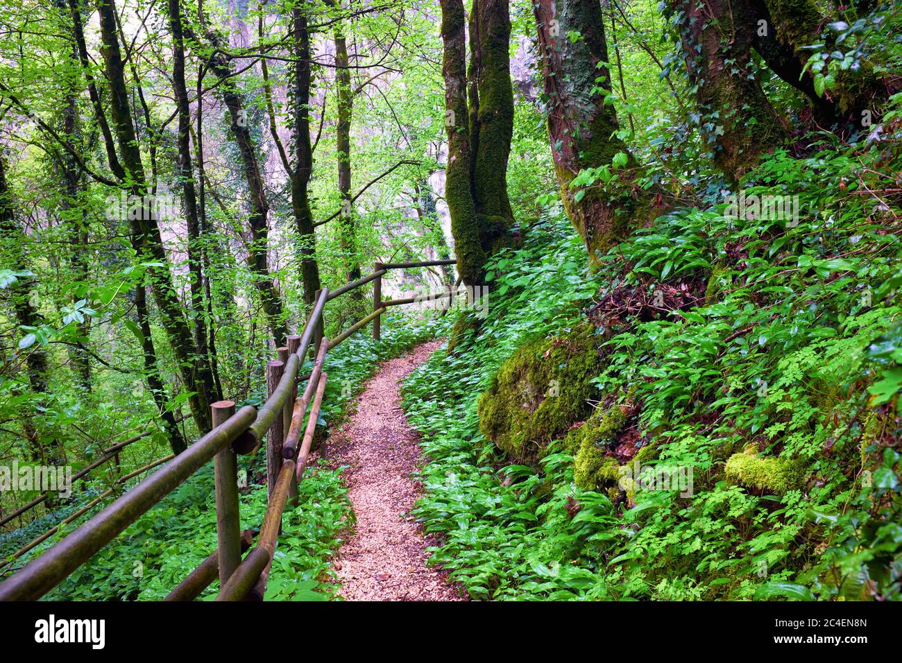 Fottpath Railing Footpath with railing in forest hi-res stock photography and images - Alamy