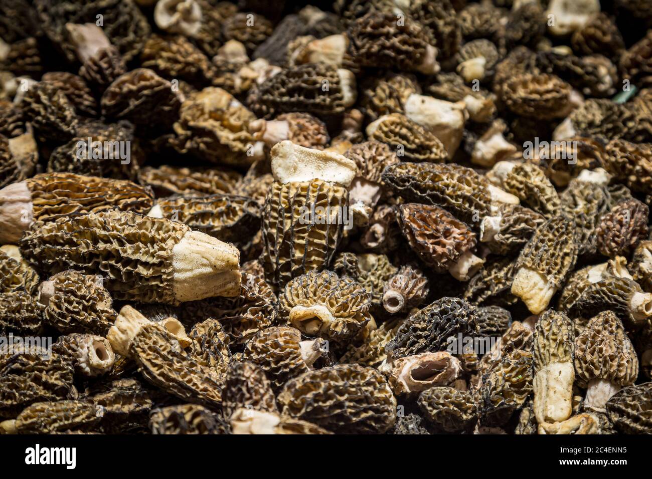 An abundance of morel mushrooms for sale on a market stall Stock Photo