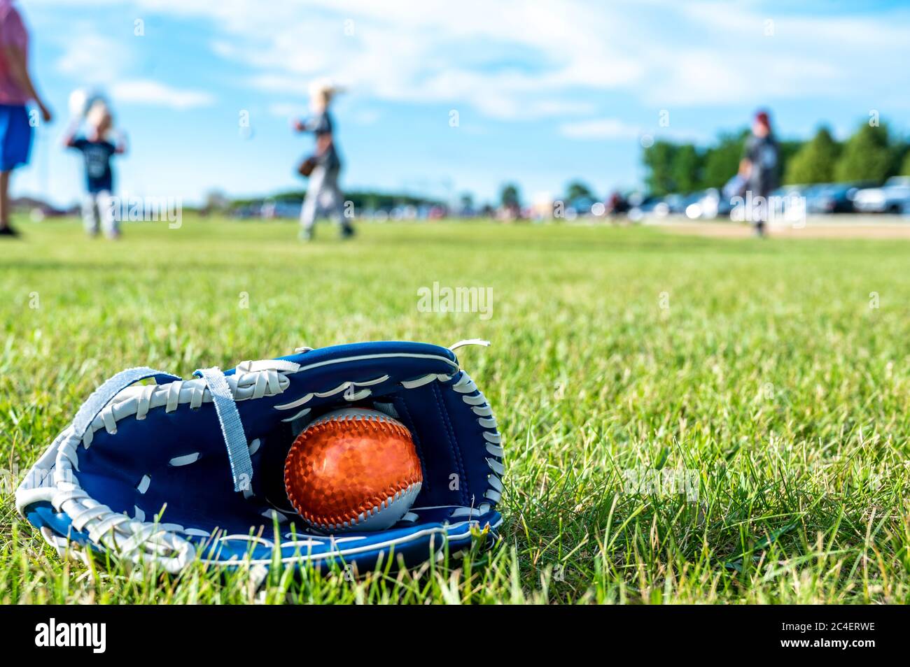 Tee ball and glove on green grass. Equipment commonly used in youth