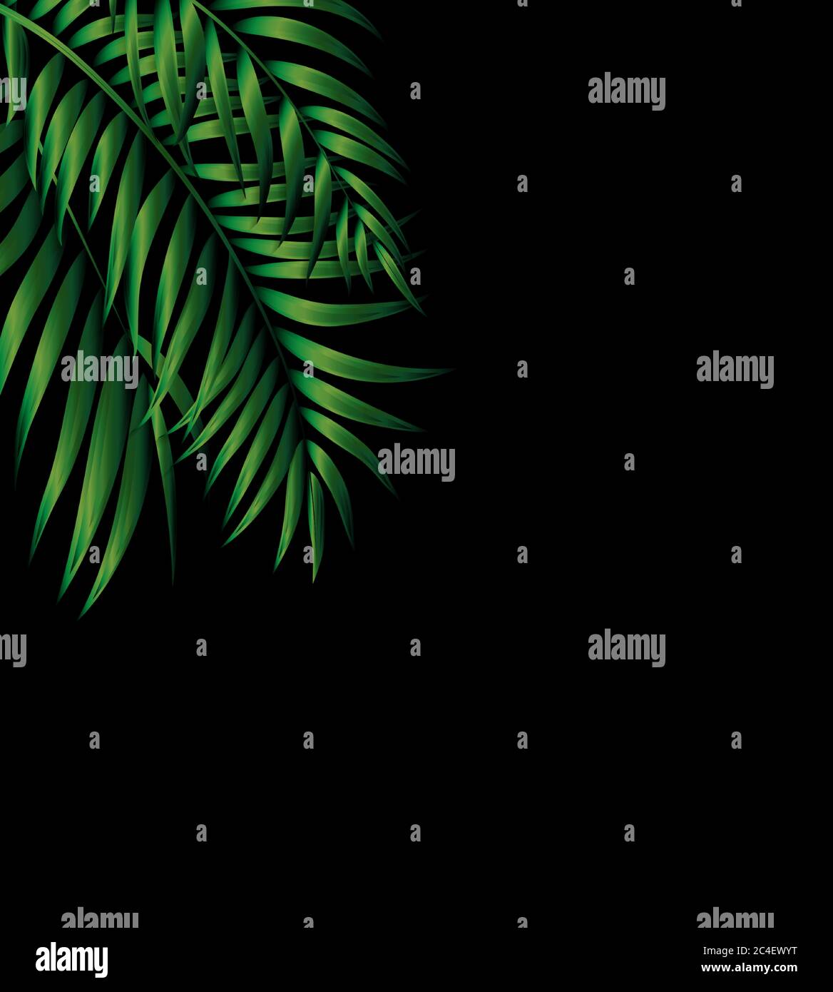 Tropical Natural green Palm Background. Vector Illustration Stock ...