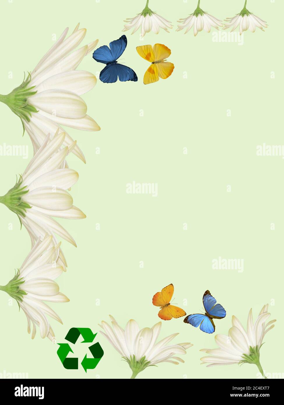Natural Background With Vibrant Colors Flowers Butterflies And Recycle Symbol Isolated In Color Background Stock Photo Alamy