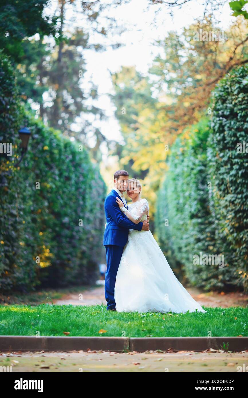 Bride and groom in the park kissing. wedding in nature green forest ...