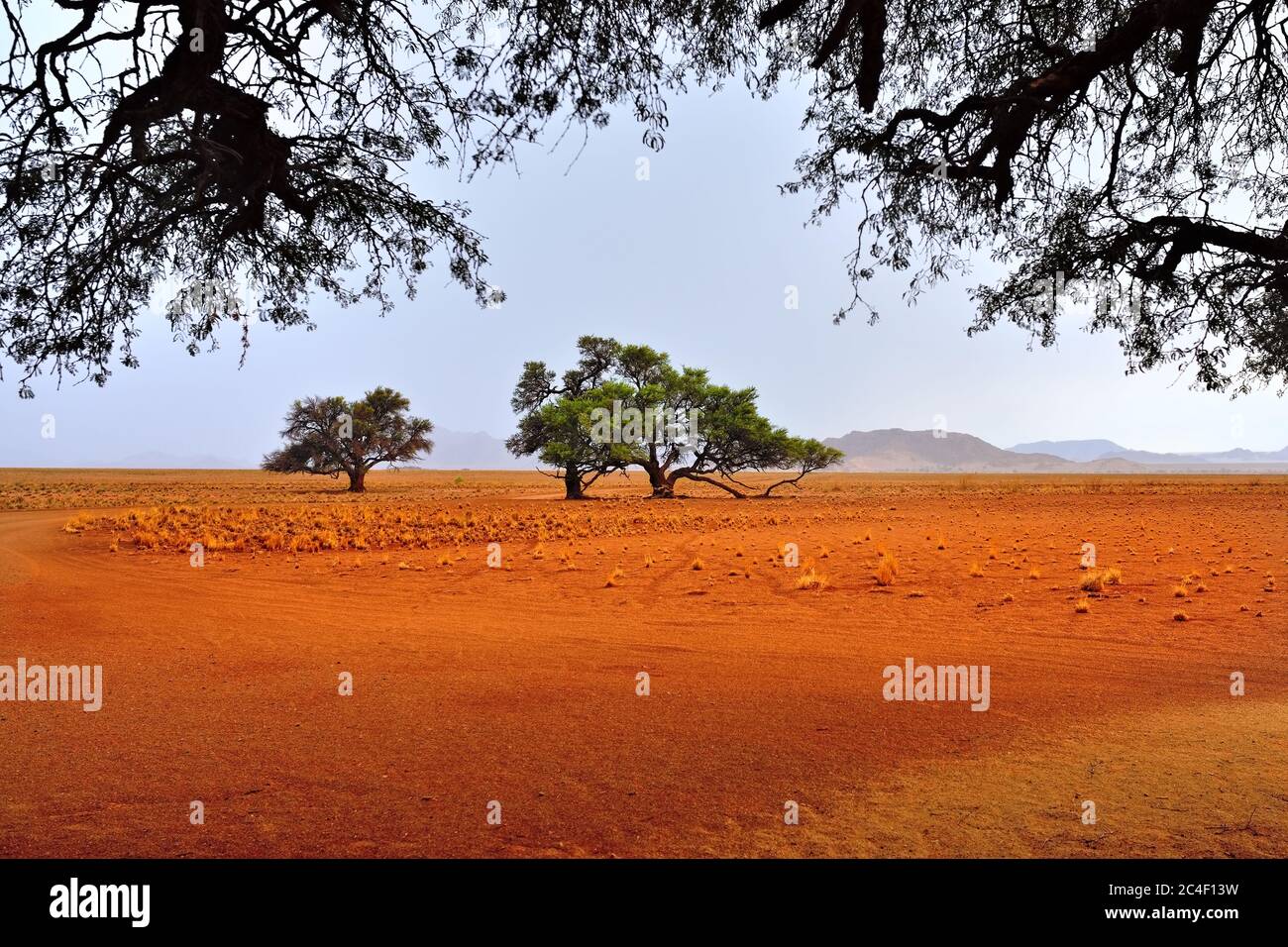 Beautiful landscape of the Namib desert at rainy evening, Sossusvlei ...