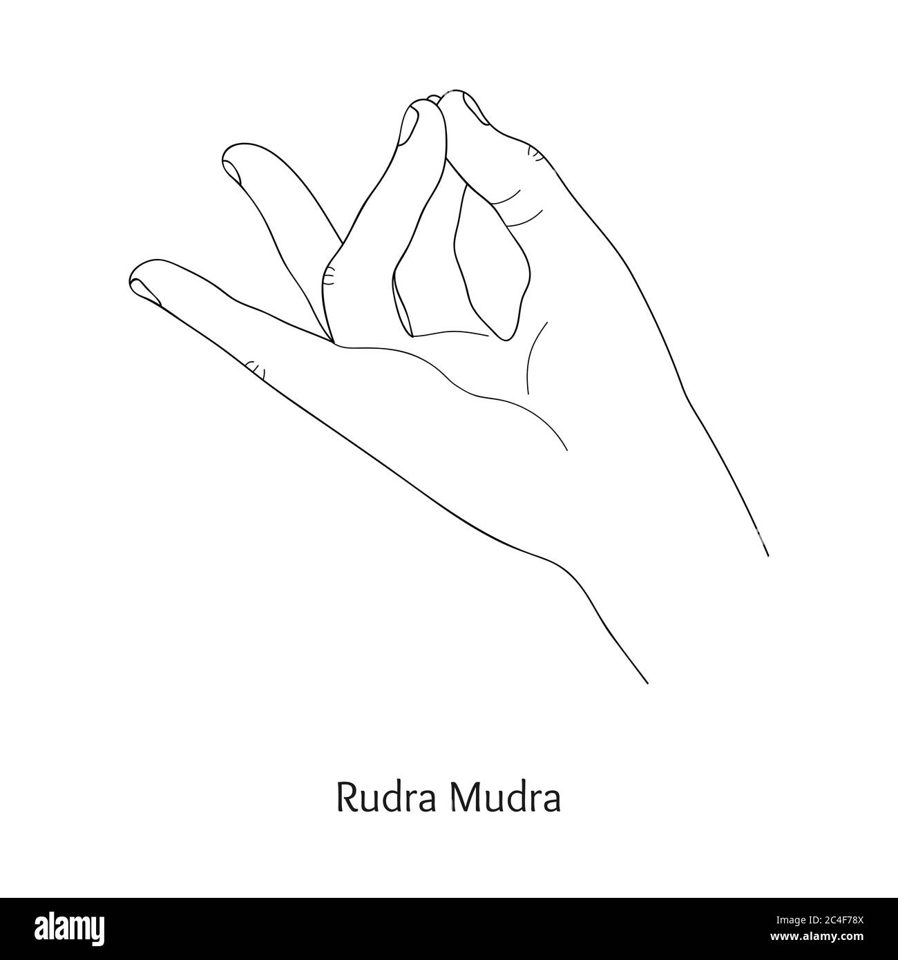 Hand drawn chinmaya mudra Chinmaya mudra hand drawn illustration of  ritual yoga hand gesture  CanStock