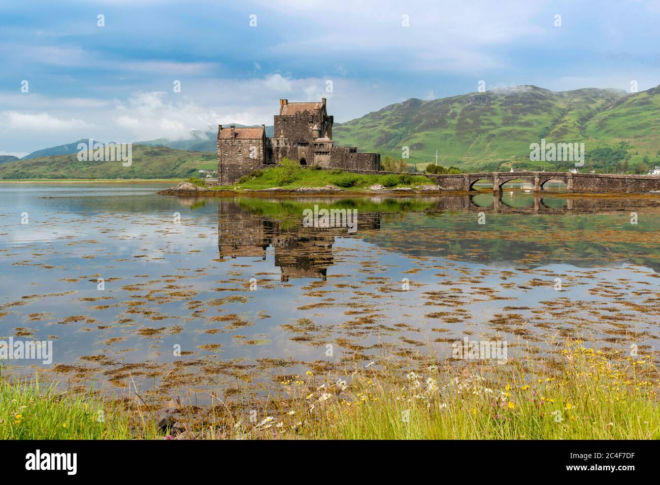EILEAN DONAN CASTLE LOCH DUICH HIGHLAND SCOTLAND CASTLE ON AN ISLAND HIGH TIDE AND FLOWERS AND GRASSES IN JUNE Stock Photo