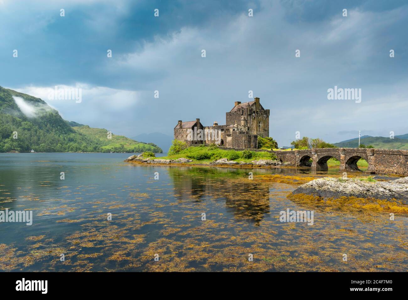 LOCH LOMOND TREE, Scotland Lonely Tree Photography Card, Millarochy Bay Photograph, Blank