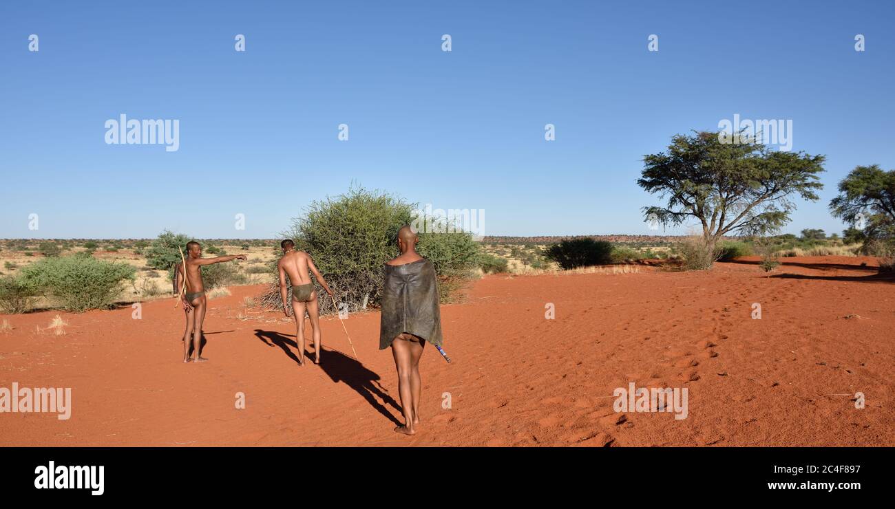 Kalahari Namibia Jan 24 2016 Bushmen Hunters In The Bush The San People Also Known As