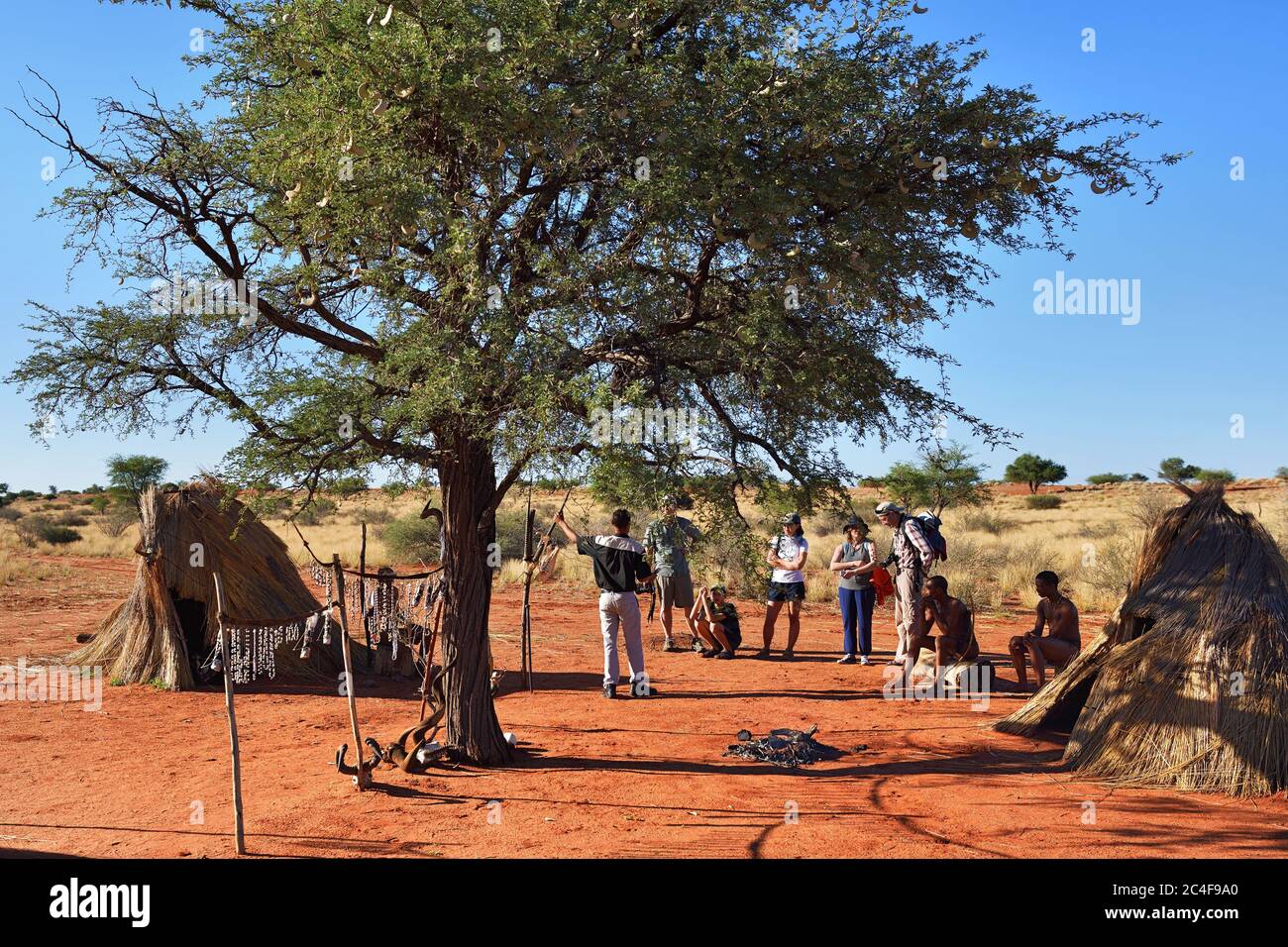 Kalahari Namibia Jan 24 2016 Tourists Visit Bushmen Tribe Village The San People Also