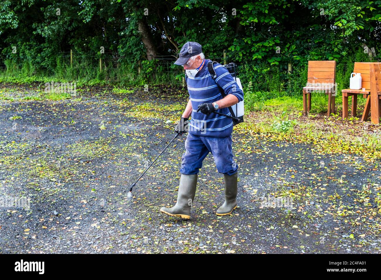 Man spraying weedkiller using a backpack, Allotment, Kilwinning Stock Photo