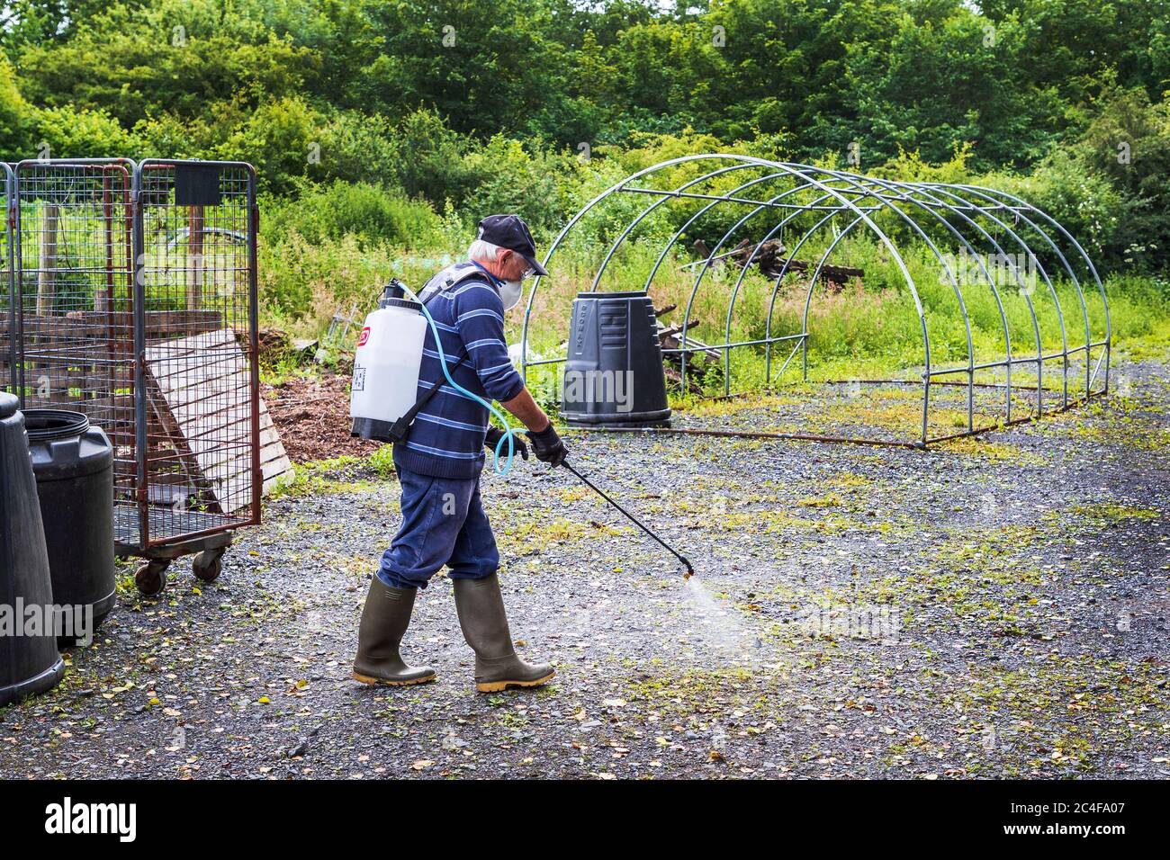 Man spraying weedkiller using a backpack, Allotment, Kilwinning Stock Photo