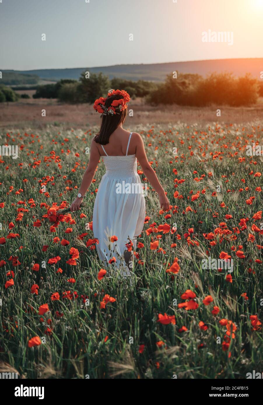 Bride in a white dress in a wreath of red poppies, warm sunset time on ...