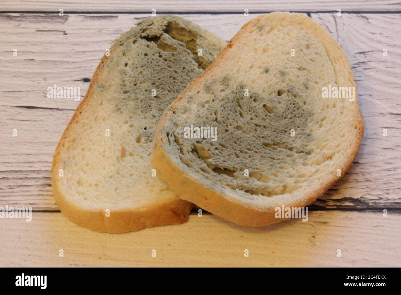 Bread Mold Images – Browse 924 Stock Photos, Vectors, and Video