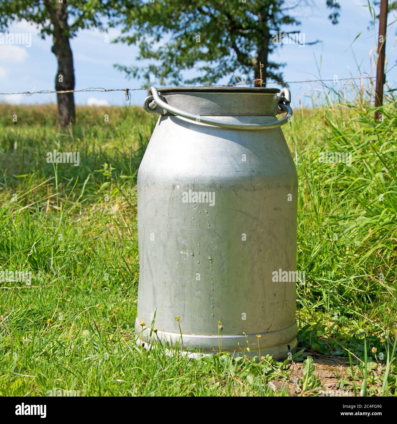 Aluminum milk jug in agriculture Stock Photo Alamy