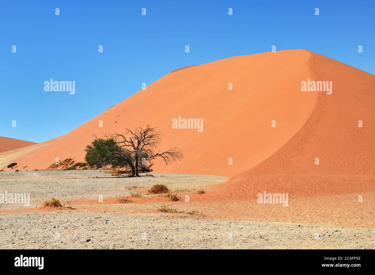 Dune 45 In Sossusvlei Most Known Dune In Namibia Best Of Namibia Landscape Stock Photo Alamy